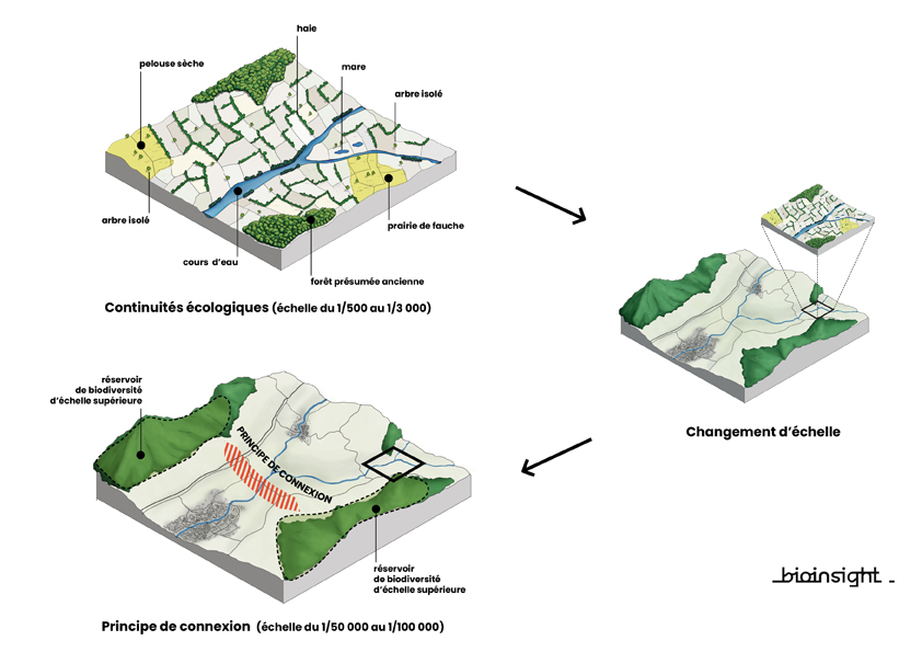 TVB SCHEMA ECHELLE 3 sans secteurs