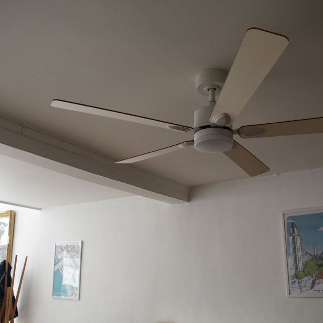 Ventilateur Mistral (Loupiote) au RDC (photo Luc Laurent)