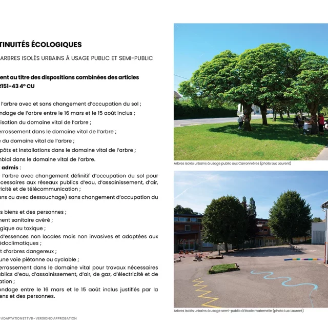 OAP Adaptation et TVB (extrait du chapitre AGIR) :  forêt urbaine : arbres isolés à usage public et semi-public (protection juridique dans le PLU suivant la conformité : rappel du règlement)
