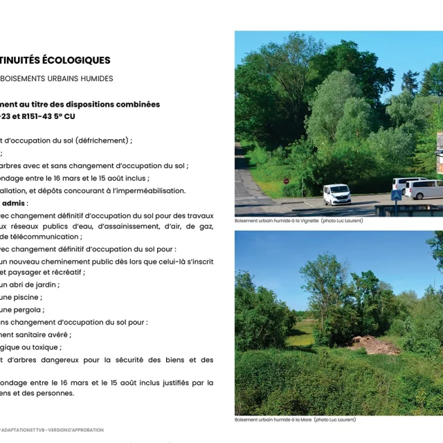 OAP Adaptation et TVB (extrait du chapitre AGIR) :  forêt urbaine : boisements urbains humides (protection juridique dans le PLU suivant la conformité : rappel du règlement)