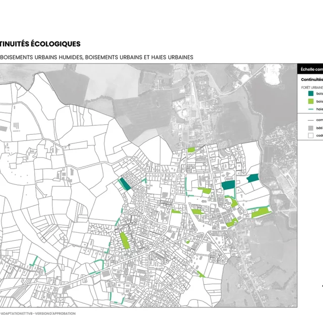 OAP Adaptation et TVB (extrait du chapitre AGIR) :  forêt urbaine : boisement urbains humides, boisements urbains et haies urbaines