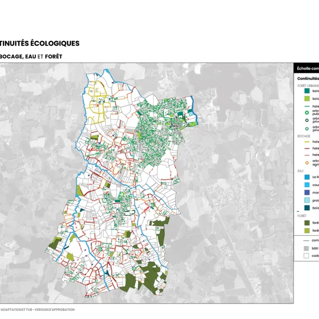 OAP Adaptation et TVB (extrait du chapitre AGIR) : composante majeure des continuités écologiques de la démarche TVB du PLU : forêt urbaine, bocage, eau et forêt