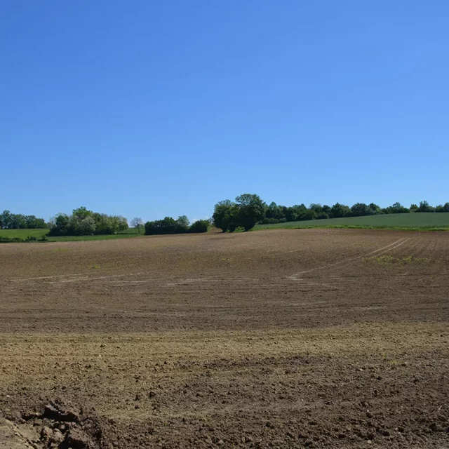 Surface A à Montrevel-en-Bresse aux Glacières le 10 mai 2024 : surfaces agricoles de terre arable végétation au sol comme le 22 août 2023 observées avec Sentinel-2 (photo Luc Laurent) 