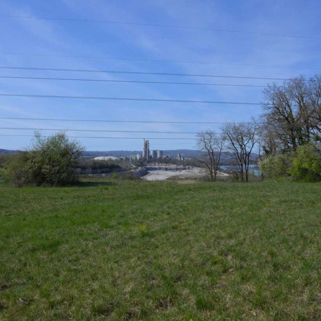 Prairie sèche à Bourchanin