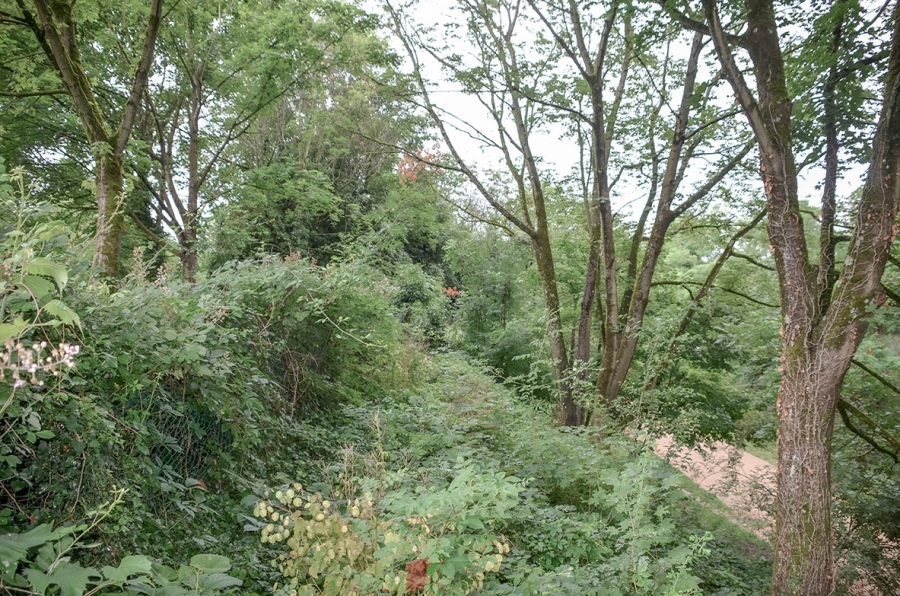 Note sur la biodiversité urbaine aux différentes échelles spatiales d’un projet d’aménagement à Caluire-et-Cuire (Métropole de Lyon)