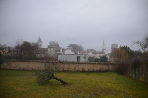 Note sur la biodiversité urbaine aux différentes échelles spatiales d'un projet d'aménagement à Saint-Cyr-au-Mont-d'Or (Métropole de Lyon)