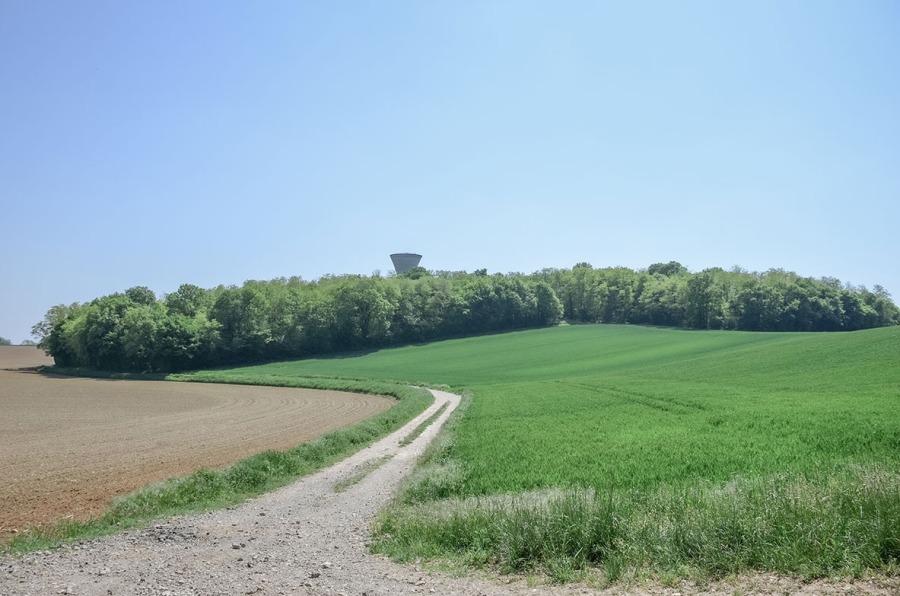 Évaluation environnementale du PLU de Saint-Jean-de-Thurigneux (Ain)