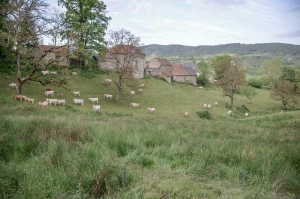 Évaluation environnementale du PLUI de la Montagne Bourbonnaise valant SCoT (Allier)