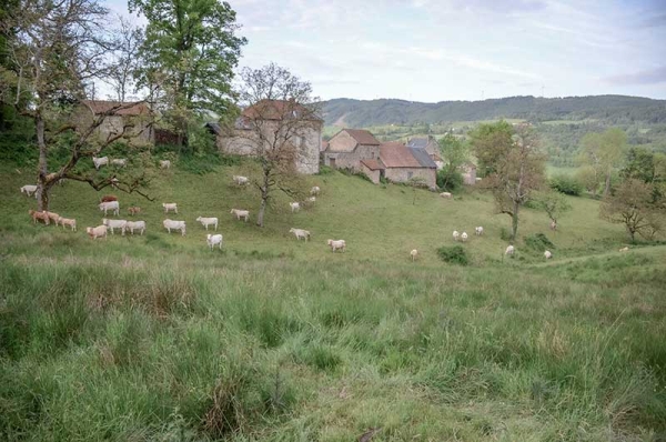 Évaluation environnementale du PLUI de la Montagne Bourbonnaise valant SCoT (Allier)