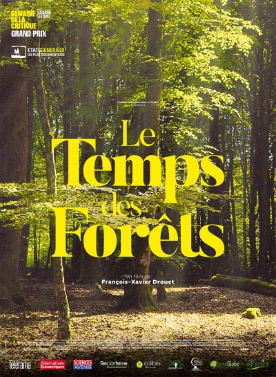 Le temps des forêts