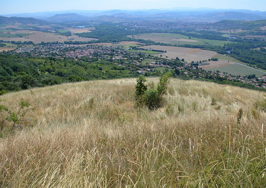 Évaluation environnementale du PLUI de Billom Communauté valant PLH (Puy-de-Dôme)