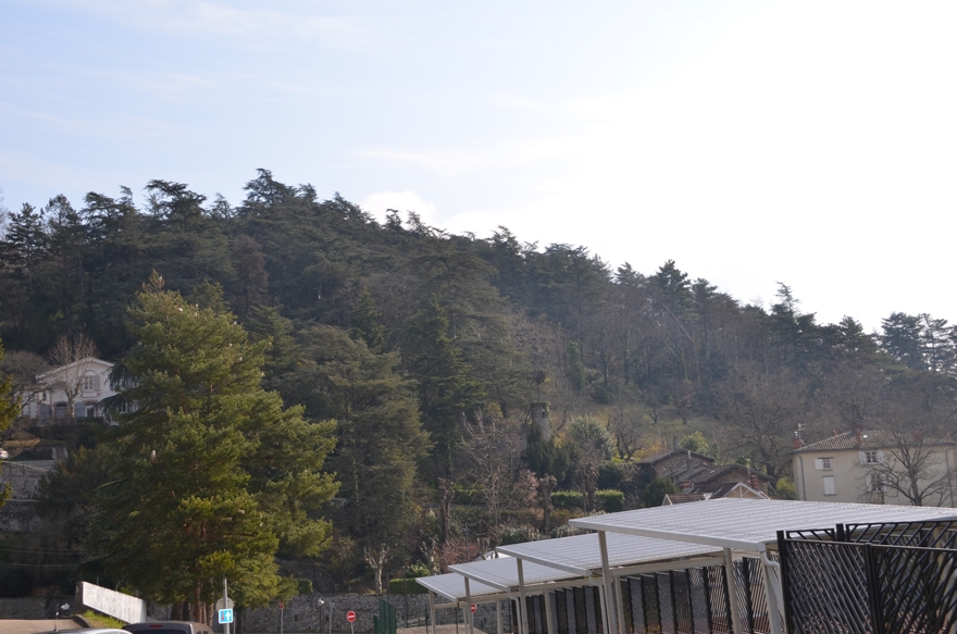 Note sur la biodiversité urbaine aux différentes échelles spatiales d'un projet d'aménagement à Vienne (Isère)