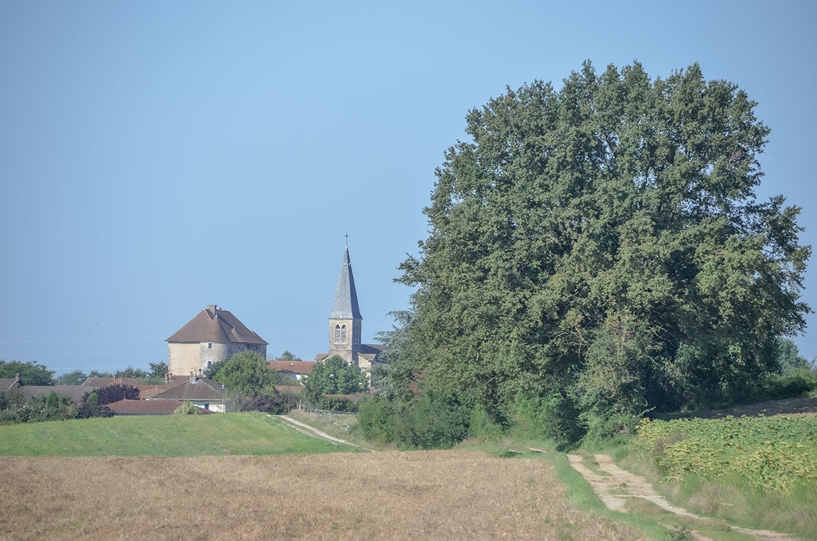 Évaluation environnementale du PLU de Sainte-Julie (Ain)