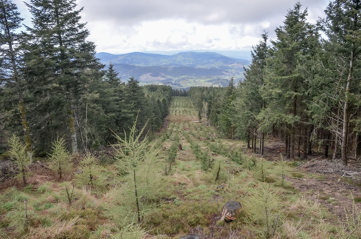 Évaluation environnementale du PLU de Celles-sur-Durolle (Puy-de-Dôme)