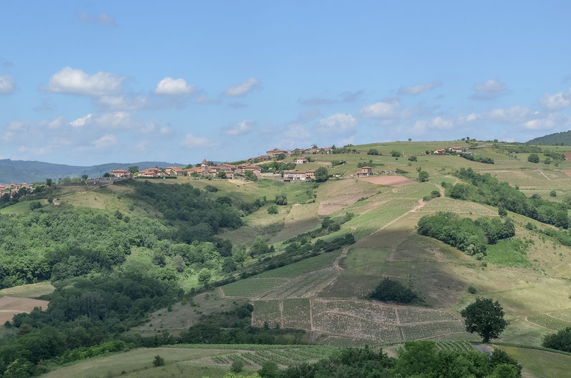 Évaluation environnementale du PLU de Sainte-Paule (Rhône)