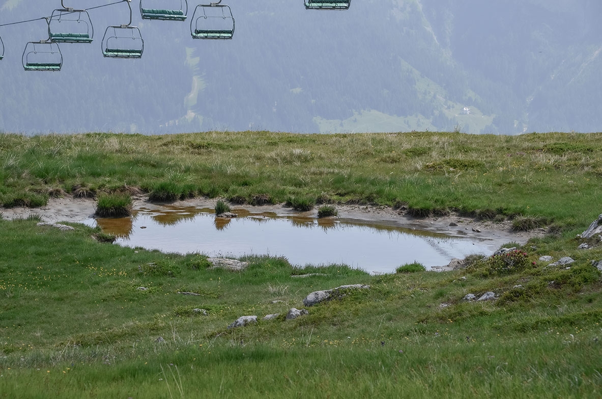 Évaluation environnementale du PLU de Macôt-la-Plagne (Savoie)