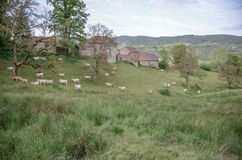 Évaluation environnementale du PLUI de la Montagne Bourbonnaise valant SCoT (Allier)
