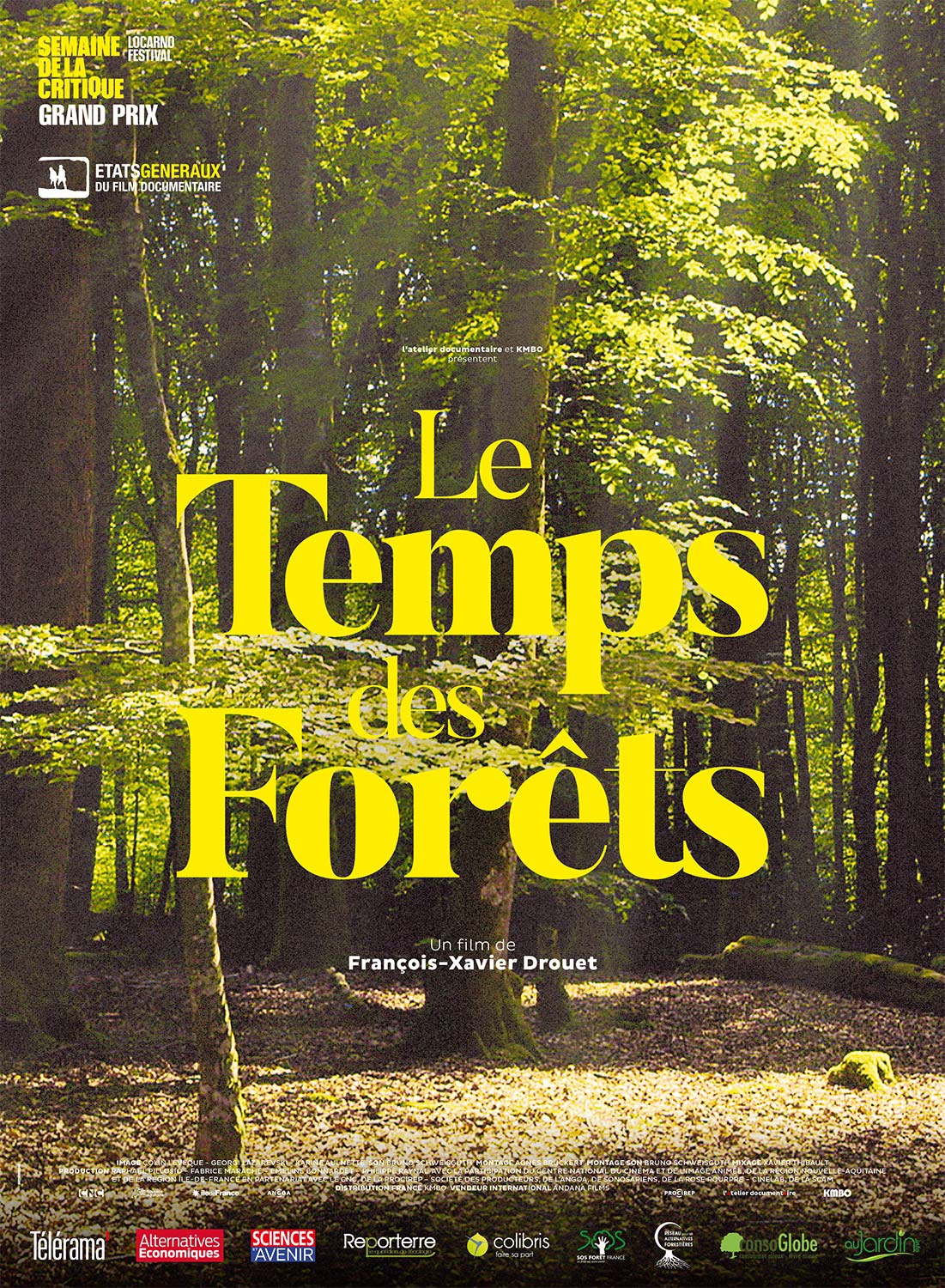 Le temps des forêts